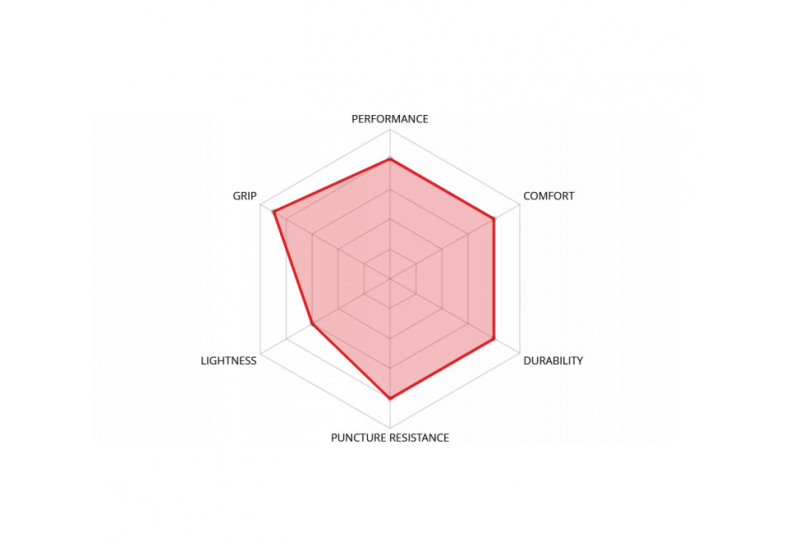 PNEU VELOFLEX CORSA EVO TUBELESS READY NOIR