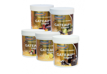 FENIOUX GATEAU ENERGIE POT DE  400 G