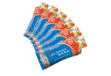 FENIOUX STICK FRUITEE GEL ENERGIE BCAA 2 BOITE DE 25 STICKS
